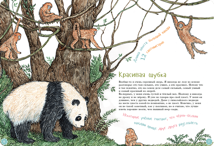 Иллюстрация к книге Я большая панда