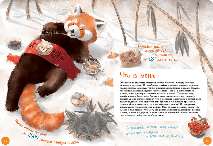 Иллюстрация к книге Я малая панда