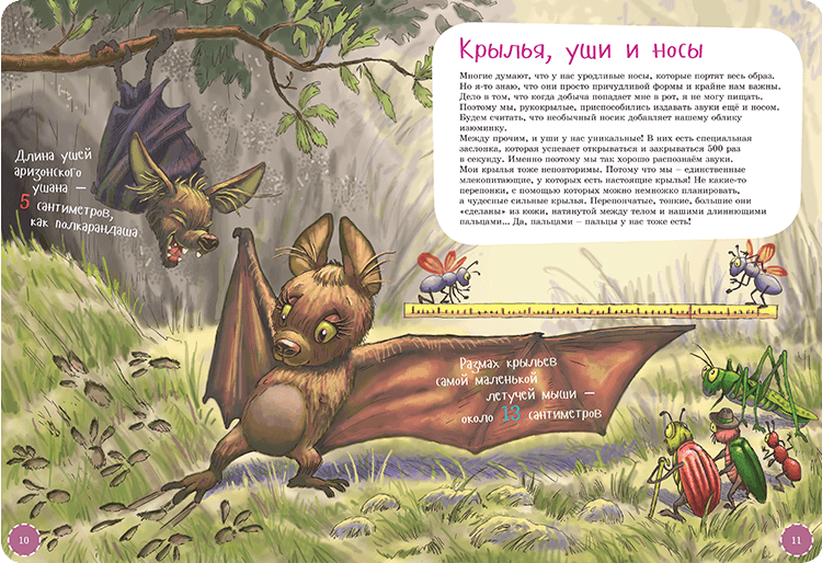 Иллюстрация к книге Я летучая мышь