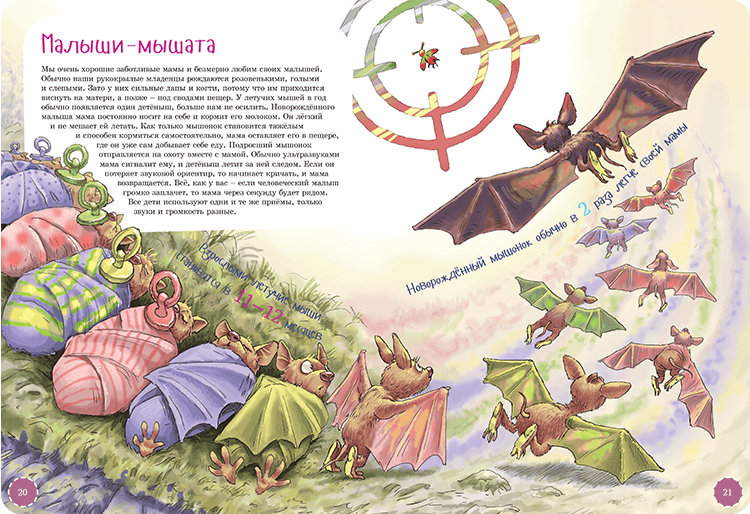 Иллюстрация к книге Я летучая мышь