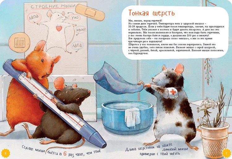 Иллюстрация к книге Я мышь