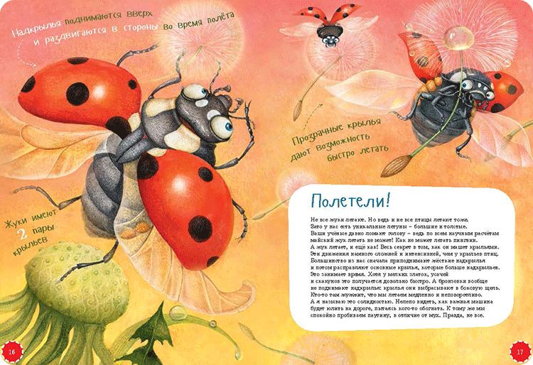 Иллюстрация к книге Я жук