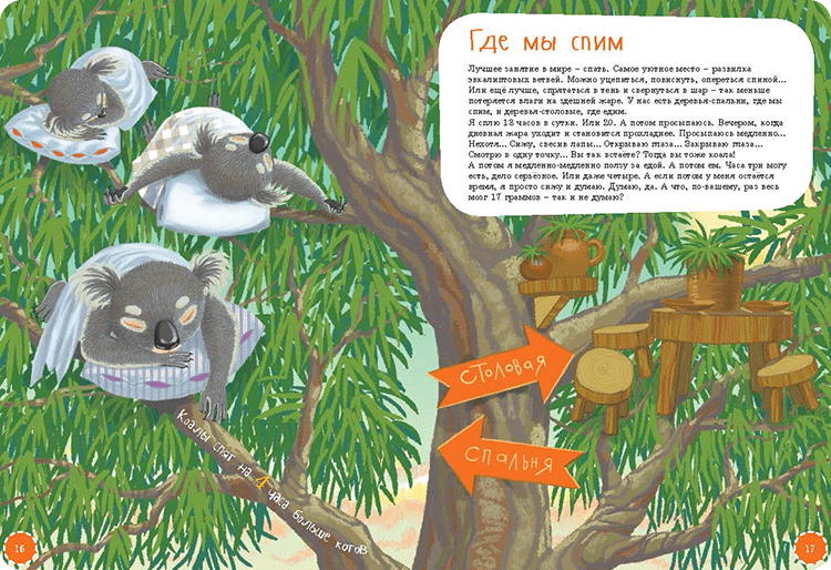 Иллюстрация к книге Я коала