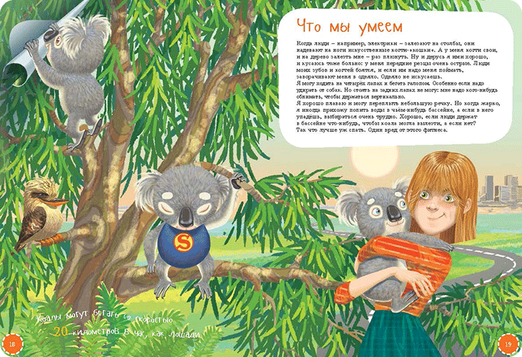 Иллюстрация к книге Я коала