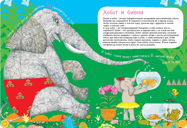 Иллюстрация к книге Я слон