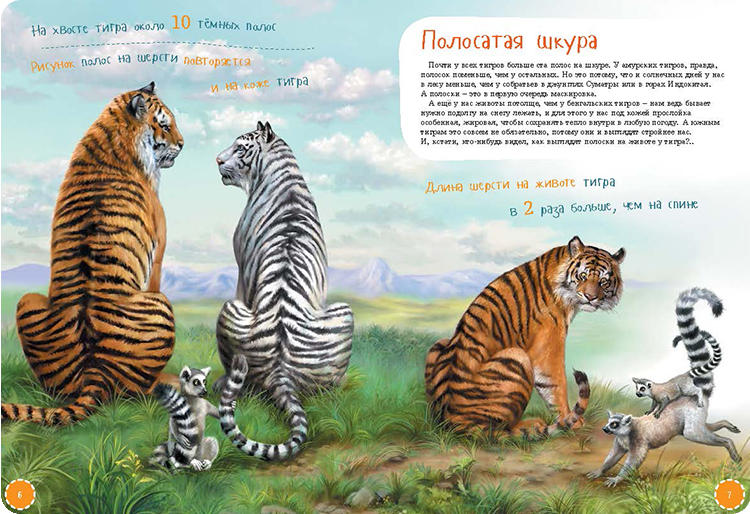 Иллюстрация к книге Я тигр