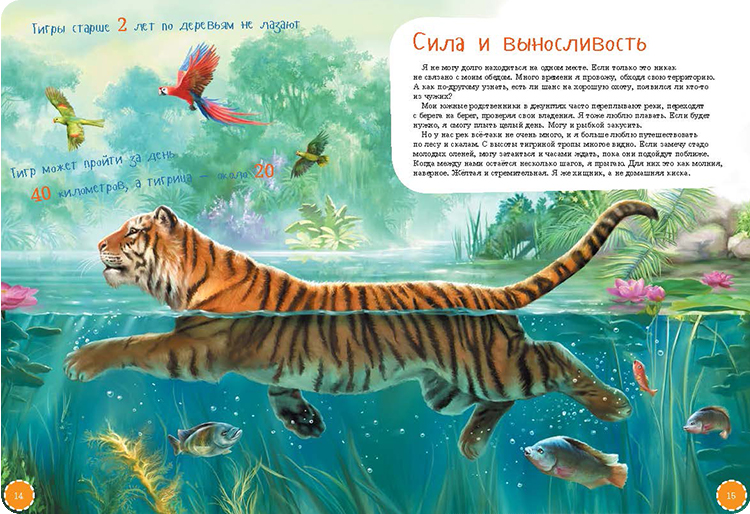 Иллюстрация к книге Я тигр
