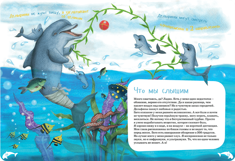 Иллюстрация к книге Я дельфин